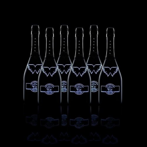 Angel Halo Champagne Case of 6